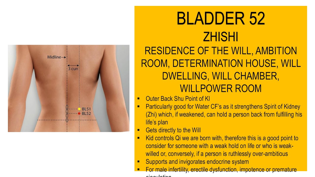 BLADDER 52 ZHISHI (RESIDENCE OF THE WILL, AMBITION ROOM, DETERMINATION ...