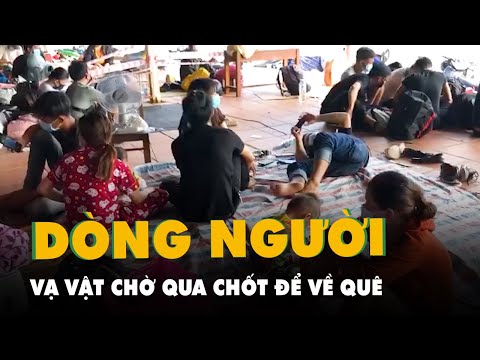 Video Hình ảnh hàng ngàn người về quê vạ vật chờ qua chốt... - youtube