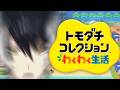 【トモダチコレクション】続・シャバにホロスタメンバーを増やそう！【影山シエン/ホロスターズ】