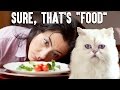 What I&#39;m Like On A Diet | Life Is A Game