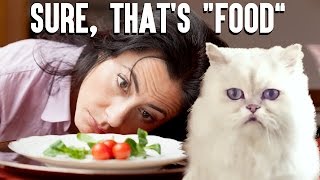 What I'm Like On A Diet | Life Is A Game by Purina Friskies 48,631 views 8 years ago 38 seconds