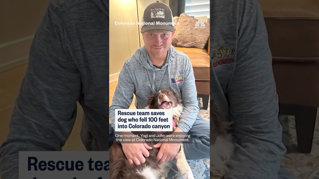 Dog rescued after 100-foot fall into canyon