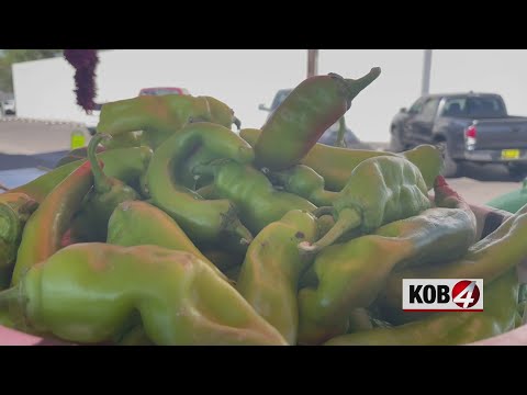Video: Chili braadseizoen in Albuquerque