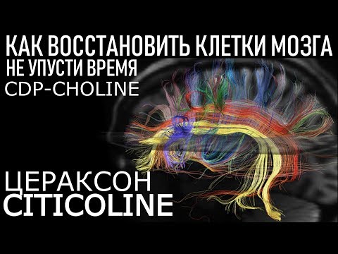 Цитиколин (CDP-choline) Цераксон Обзор Советы ЛУЧШИЙ НООТРОП? Is This The Best Nootropic?