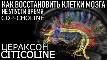 Цитиколин (CDP-choline) Цераксон Обзор Советы ЛУЧШИЙ НООТРОП? Is This The Best Nootropic?