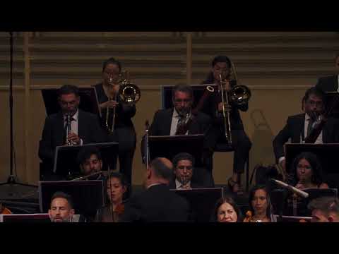 SINFONIA DEL HEROE 2° movimiento