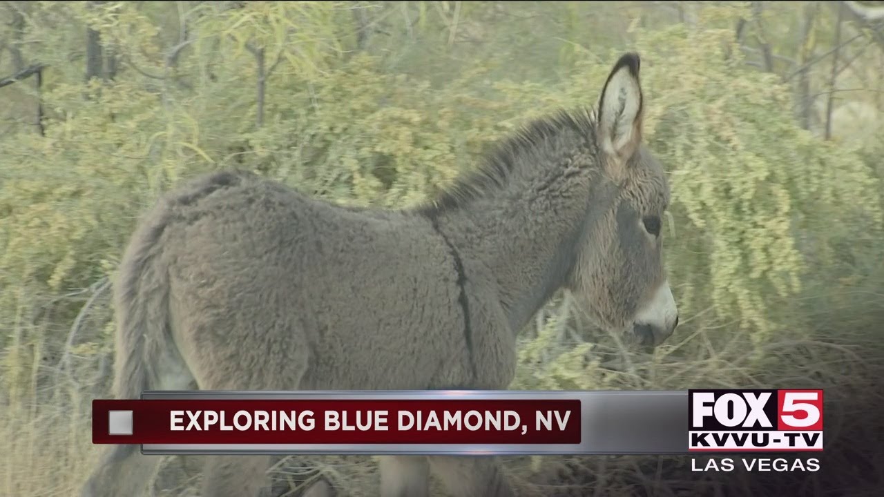 Exploring Blue Diamond, Nevada YouTube