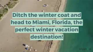 7 Perfect Miami Things to do in Winter