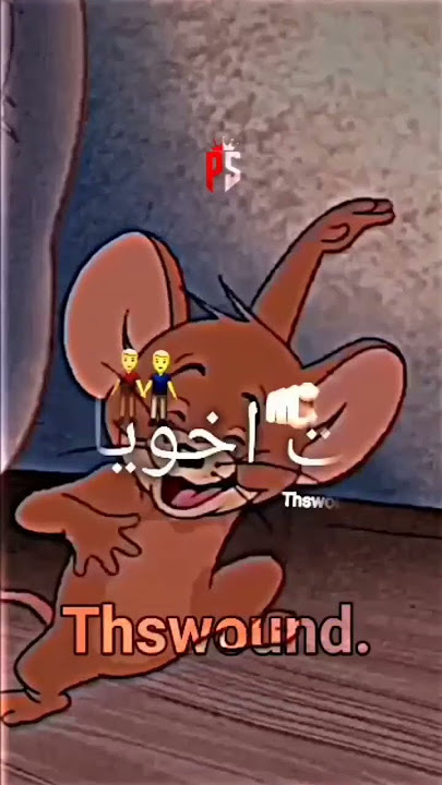 اغنيه صاحبي يا صاحبي يا صاحبي لو يوم فارقت هيولع قلبي حالات واتس#شهبانو