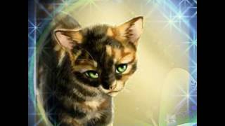Кто такие Коты Воители Кто такие Коты Воители