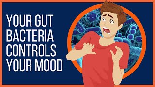 How Your Gut Bacteria Controls Your Mood