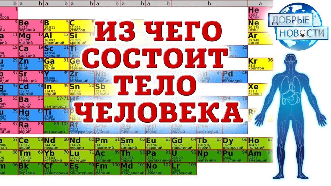 Элементы в теле человека. Химические элементы в организме человека. Химические элементы в органах человека. Химические элементы в человеке. Человек состоит из химических элементов.