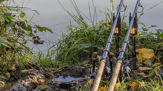 Hunting Day Ticket CARP On a HIDDEN Reservoir 🇬🇧