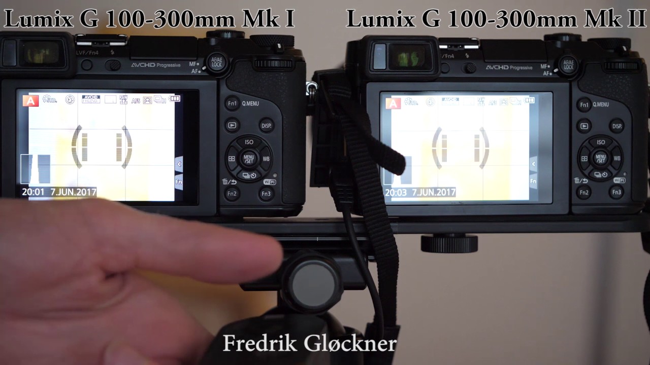違いはオートフォーカス Lumix G Vario 100 300mm F4 0 5 6 Ii Power O I S 評価 作例 とるなら 写真道楽道中記