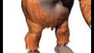 KMOFN KONG KN,OG KON KOGJ many kon kogn krogn