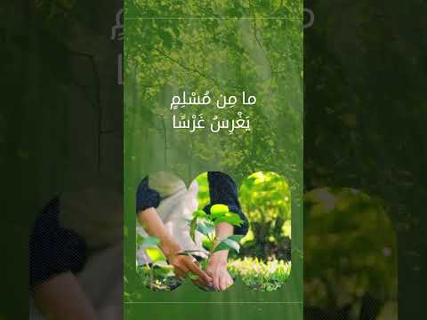 قال رسول الله ﷺ ما م ن م س ل م ي غ ر س غ ر س ا