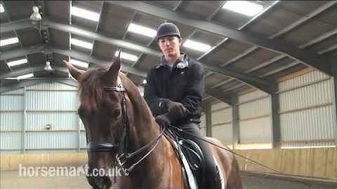 How to canter half pass in dressage, with Andrew Gould and Daniel Timson