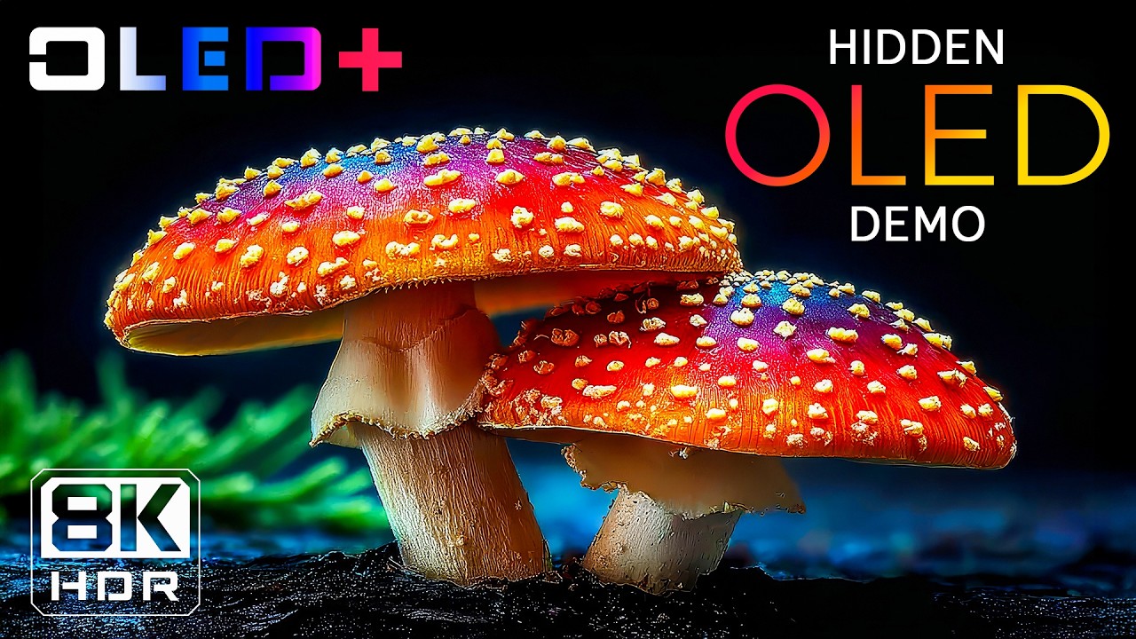 SPECIAL OLED DEMO – Unseen Landscapes in 8K HDR | Dolby Vision™