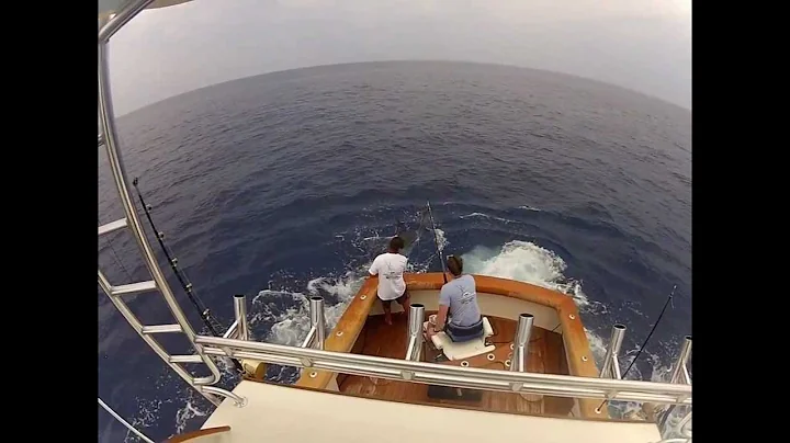 Bwana Sportfishing 650 lb Blue Marlin Released