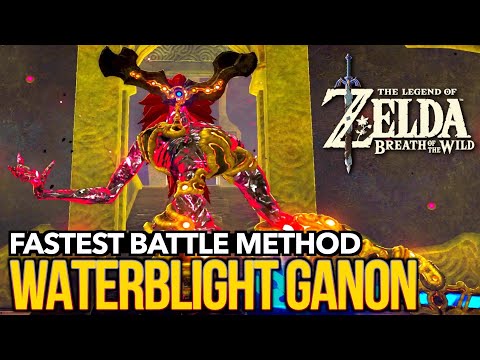 Video: Zelda: Breath Of The Wild - Strategia De Luptă A șefului Ganon Waterblight și Modul De Obținere A Harului Mipha