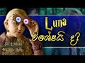 Luna Lovegood ගේ කතාව | Story of Luna Lovegood | Sinhala | Harry Potter