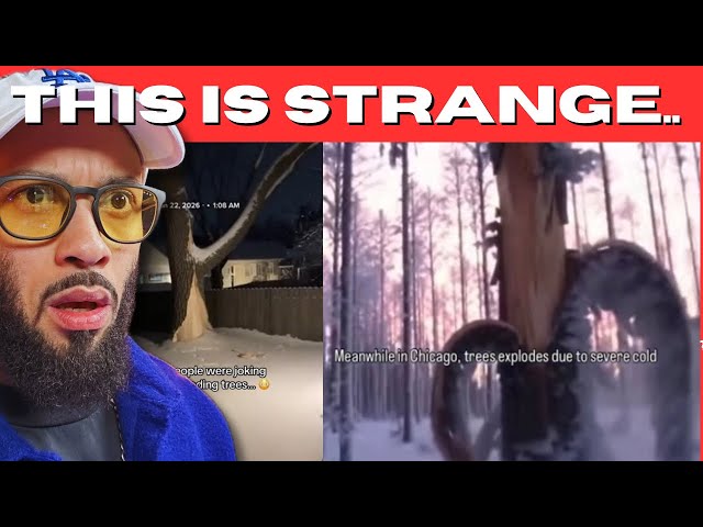 CREEPY AND STRANGE TIK TOKS THAT WILL MAKE YOU QUESTION REALITY!