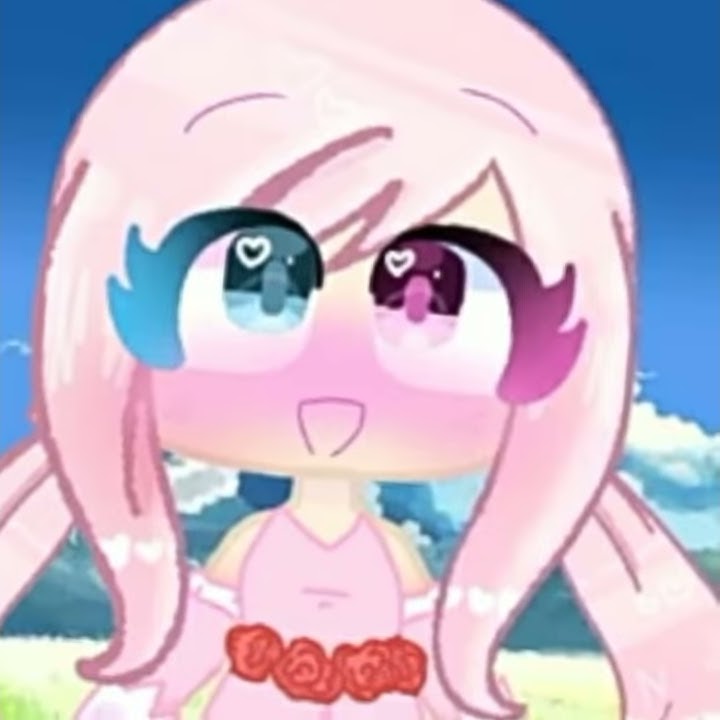 a gift for loli the neko cat