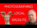 Getting the most from your local patch - Wildlife Photography.