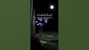 #القرآن_الكريم #راحة_نفسية #تلاوة_خاشعة