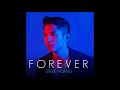 Stevie hoang  forever album