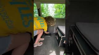 Переоборудовать автомобиль в дом на колёсах за 15 минут с Camper Bus