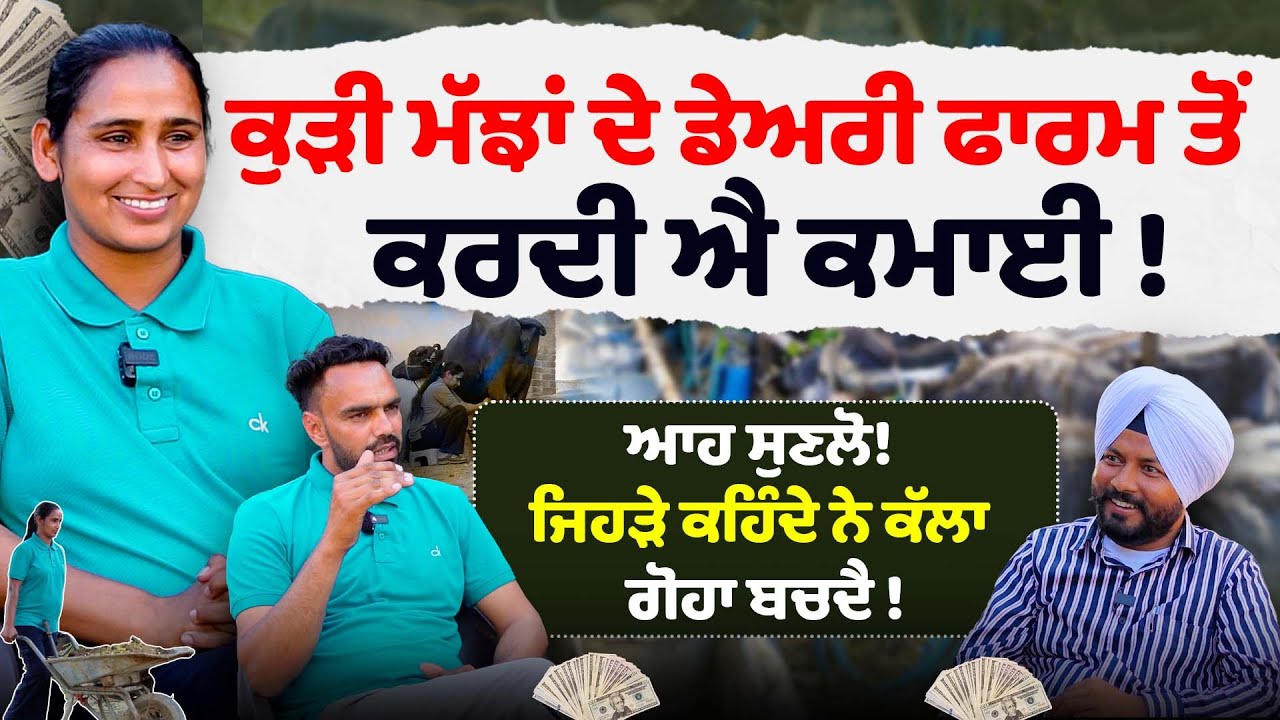 ਕੁੜੀ ਮੱਝਾਂ ਦੇ Dairy Farm ਤੋਂ ਕਰਦੀ ਐ ਕਮਾਈ ! Dairy Farming business | Dairy Farm Loan | Sirlekh