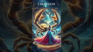 🌑 СКОРПИОН ♏ Подсказка на НОВОЛУНИЕ #таро #гадание #таролог #tarot #shorts #скорпион   #новолуние