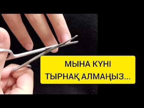 Мультфильм порно: қыздардың алғашқы жыныстық қатынасы Жеке чат жазбаларын қалай көруге болады