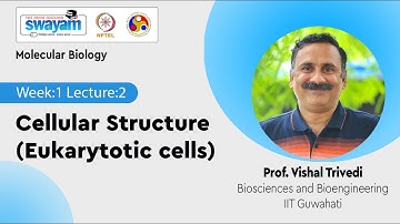 Lec 2: Cellular Structure (Eukarytotic cells)