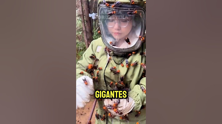 Essa mulher entrou no meio de vespas gigantes 😱 #abelhas #curioso #shorts