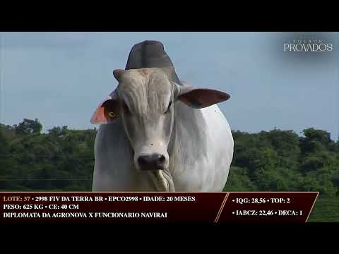 LOTE 37   EPCO 2998