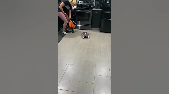 Sweet girl playing 🐵 #skateboard #weekend #goodvibes #fun #happy #monkey #skills #jump #discover #f