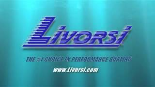 Livorsi Commercial