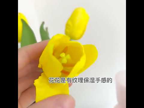 Video Tranh Tường Leon - nhẹ nhàng mỏng manh nhiều màu sắc - youtube