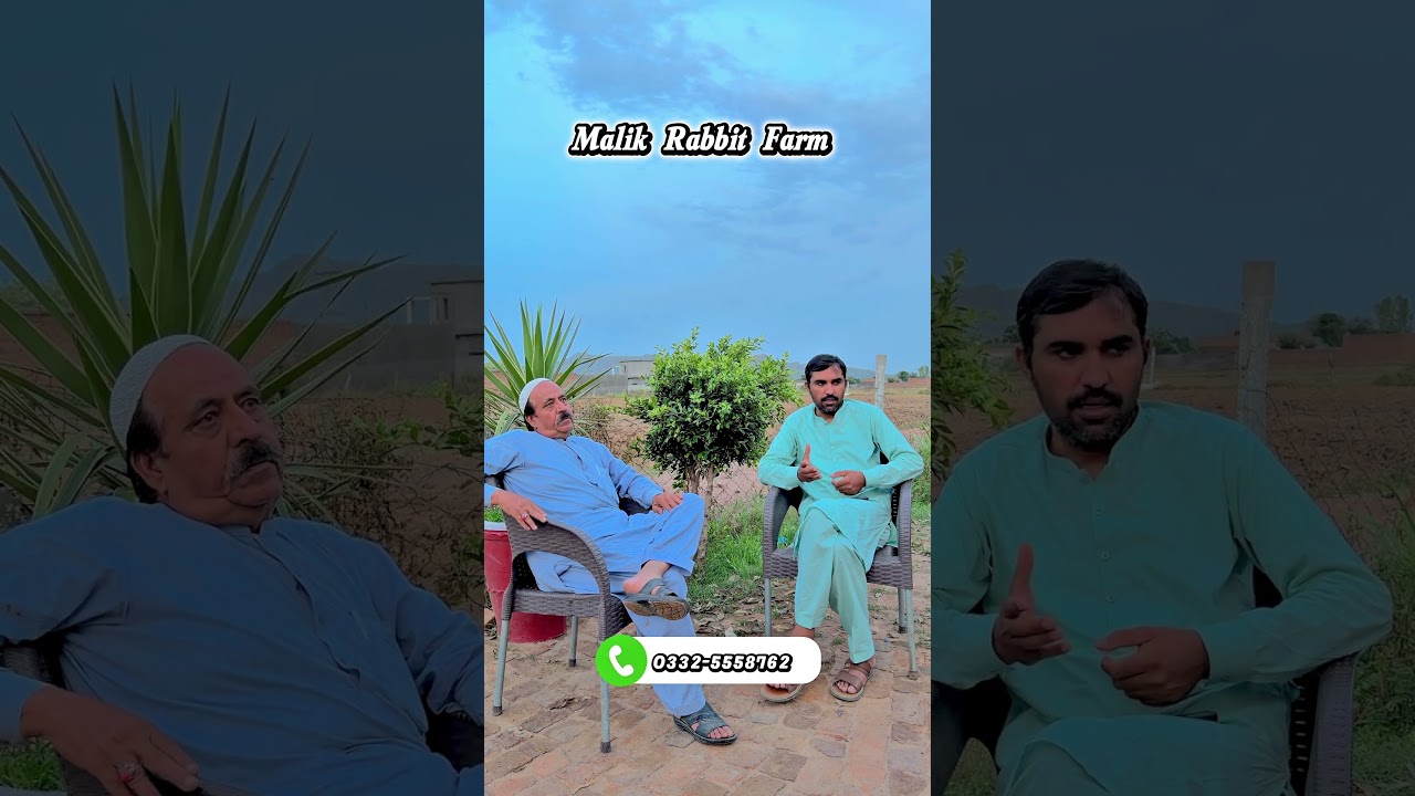 عید کی خوشیوں کو کریں اور بھی خاص، ملک ریبٹ فارم کے ساتھ! 🌙✨