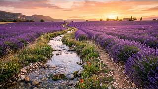 Relaxing River Sounds for Sleep 💧 1 Hour Nature Soundscape with Flowing Water