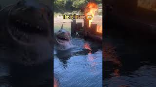 🦈Bruce | Jaws at Universal Studios #universalstudios #jaws #shors