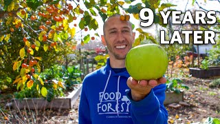 What Happens When You Grow an Apple Tree FROM SEED, 9 Years Later!