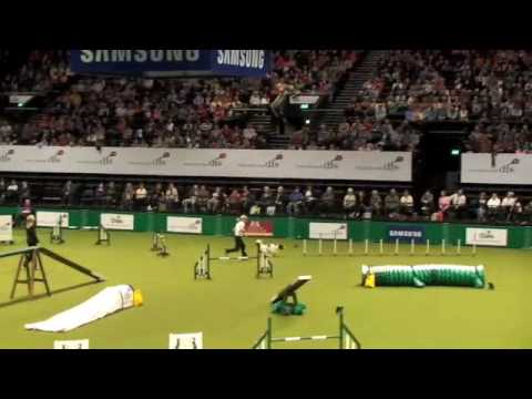 Crufts agility 2010