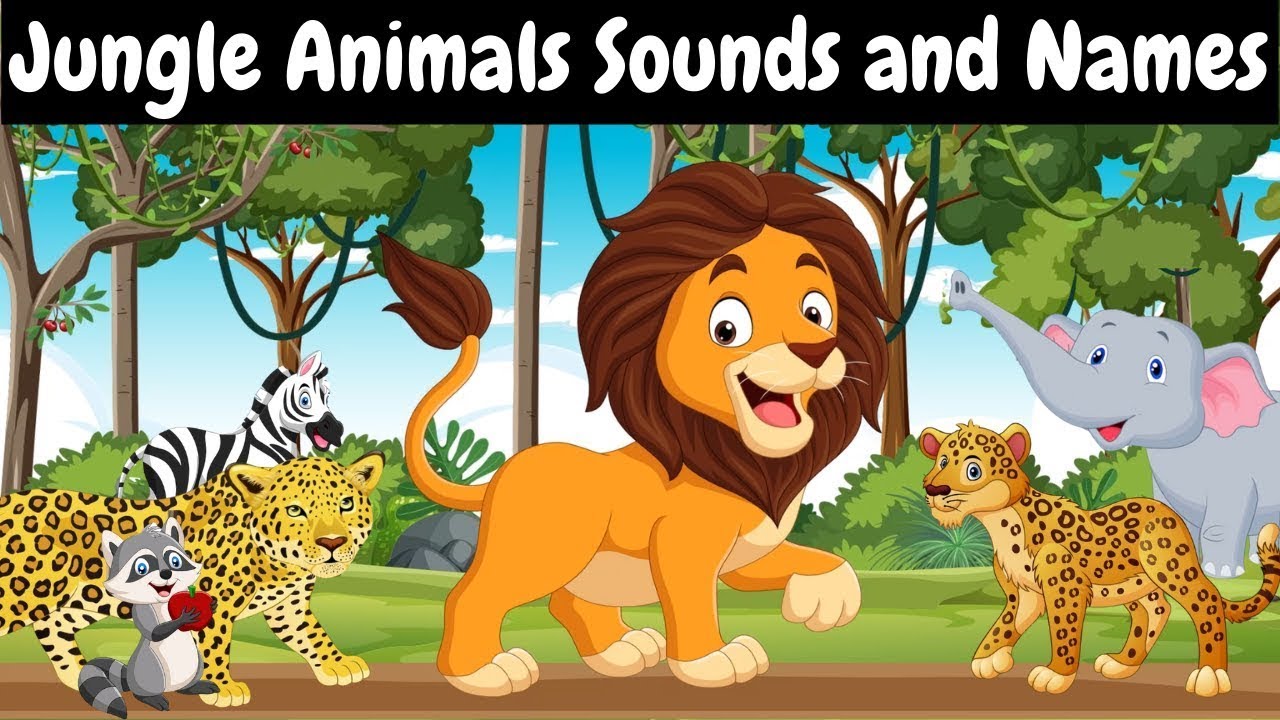Animals for Kids Jungle Animal Sound & Name Animals Video for Kids