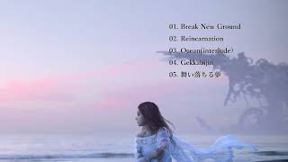 【2020秋M3】Break New Ground / 木もれ日【XFD】