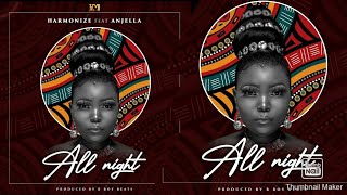 Harmonize ft Anjela - All night (new music videos)
