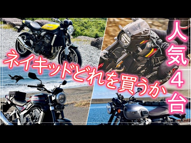 ⭐️ソロ50絶好調^_^60km/h出ます⭐️チェーン・バッテリー・プラグなど新品⭐️キャブレーターオーバーホールで快調⭐️ PLOW 60V バッテリーツールシリーズ製品が新登場【第一弾】バッテリー