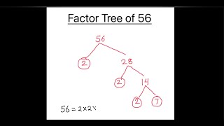 How to Draw Factor Tree of 56 / Factor Tree Method  of Factorization / Factor Tree of 56